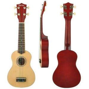 Ukulele for Beginners - Your Perfect Musical Companion