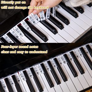 Piano Notes Guide for Beginners - Master the Keyboard with Keyboard Notes Labels